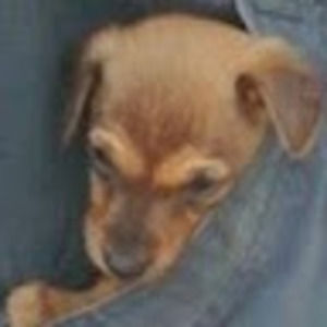 Meet your Posher, Ada mae